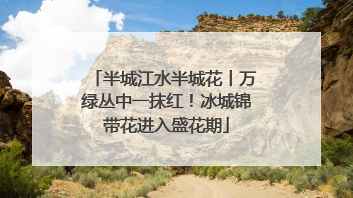 半城江水半城花丨万绿丛中一抹红！冰城锦带花进入盛花期