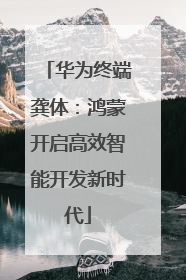 华为终端龚体：鸿蒙开启高效智能开发新时代
