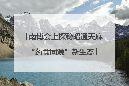 南博会上探秘昭通天麻“药食同源”新生态