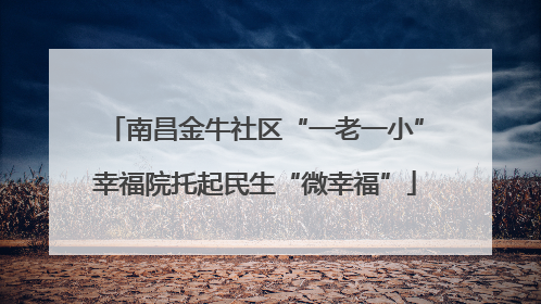 南昌金牛社区“一老一小”幸福院托起民生“微幸福”