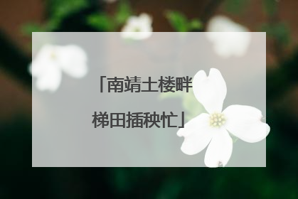 南靖土楼畔 梯田插秧忙