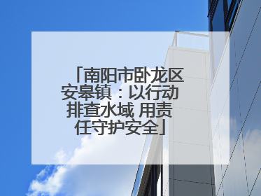 南阳市卧龙区安皋镇：以行动排查水域 用责任守护安全
