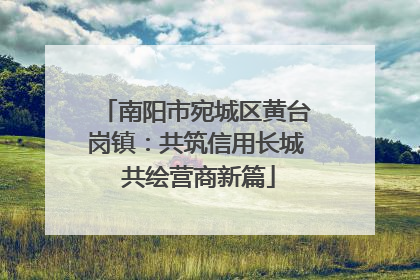 南阳市宛城区黄台岗镇：共筑信用长城 共绘营商新篇