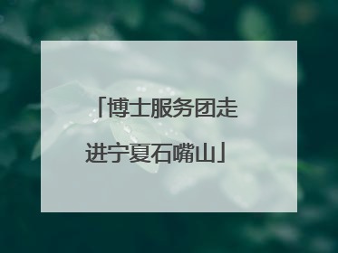 博士服务团走进宁夏石嘴山