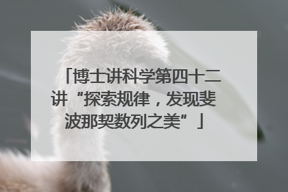 博士讲科学第四十二讲“探索规律，发现斐波那契数列之美”