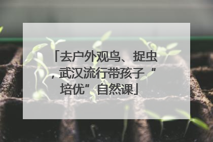 去户外观鸟、捉虫，武汉流行带孩子“培优”自然课