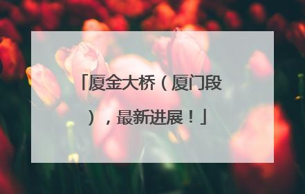 厦金大桥（厦门段），最新进展！