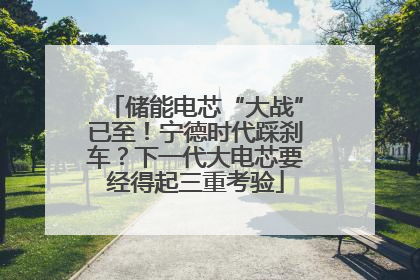 储能电芯“大战”已至！宁德时代踩刹车？下一代大电芯要经得起三重考验