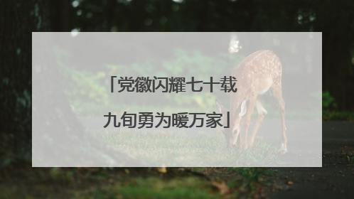 党徽闪耀七十载 九旬勇为暖万家