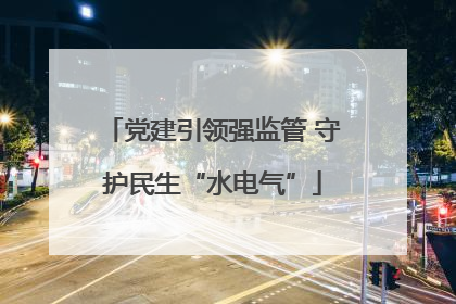 党建引领强监管 守护民生“水电气”