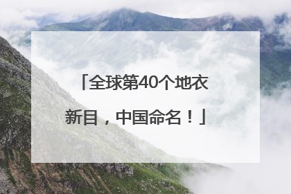 全球第40个地衣新目，中国命名！
