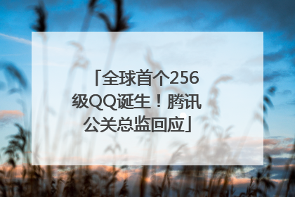 全球首个256级QQ诞生！腾讯公关总监回应