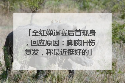 全红婵退赛后首现身，回应原因：脚腕旧伤复发，称最近挺好的