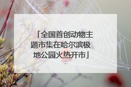 全国首创动物主题市集在哈尔滨极地公园火热开市