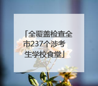 全覆盖检查全市237个涉考生学校食堂