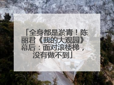 全身都是淤青！陈丽君《我的大观园》幕后：面对滚楼梯，没有做不到
