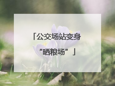公交场站变身“晒粮场”