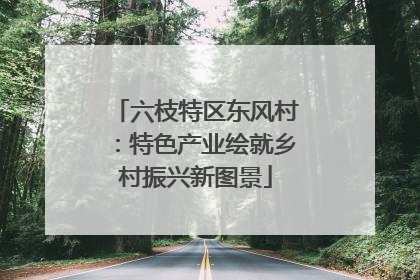 六枝特区东风村：特色产业绘就乡村振兴新图景
