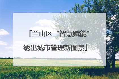 兰山区“智慧赋能”绣出城市管理新图景