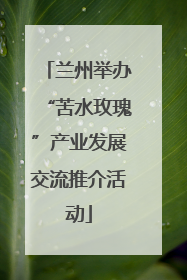 兰州举办“苦水玫瑰”产业发展交流推介活动