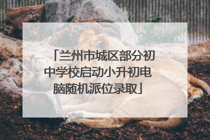 兰州市城区部分初中学校启动小升初电脑随机派位录取
