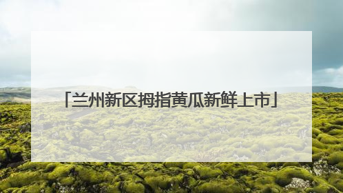 兰州新区拇指黄瓜新鲜上市