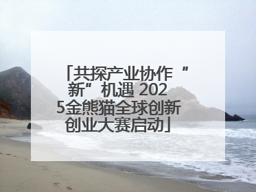共探产业协作“新”机遇 2025金熊猫全球创新创业大赛启动