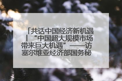 共话中国经济新机遇丨“中国超大规模市场带来巨大机遇”——访塞尔维亚经济部国务秘书尼科利奇