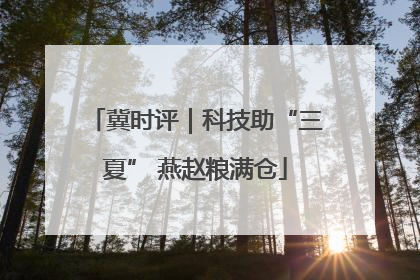 冀时评｜科技助“三夏” 燕赵粮满仓