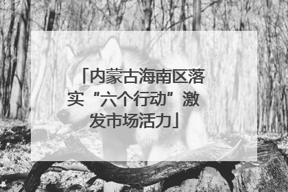 内蒙古海南区落实“六个行动”激发市场活力