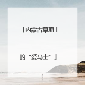 内蒙古草原上的“爱马士”