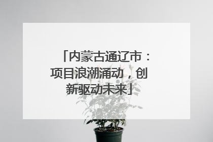 内蒙古通辽市：项目浪潮涌动，创新驱动未来