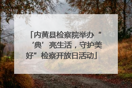内黄县检察院举办“‘典’亮生活，守护美好”检察开放日活动