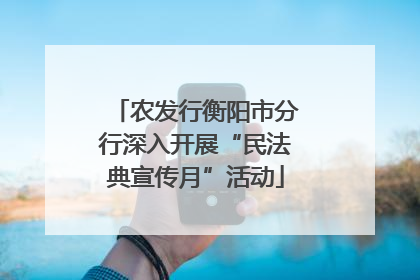 农发行衡阳市分行深入开展“民法典宣传月”活动
