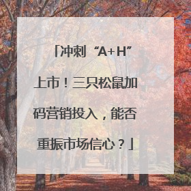 冲刺“A+H”上市！三只松鼠加码营销投入，能否重振市场信心？