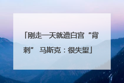 刚走一天就遭白宫“背刺” 马斯克：很失望