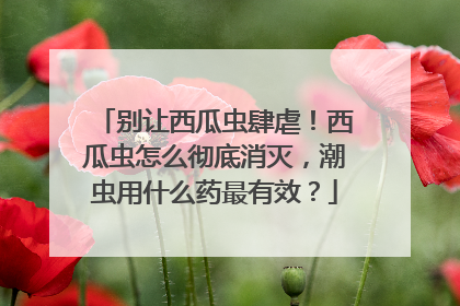 别让西瓜虫肆虐！西瓜虫怎么彻底消灭，潮虫用什么药最有效？