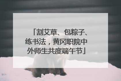 割艾草、包粽子、练书法，黄冈职院中外师生共度端午节