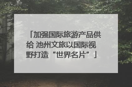 加强国际旅游产品供给 池州文旅以国际视野打造“世界名片”