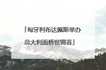 匈牙利布达佩斯举办意大利面桥世锦赛