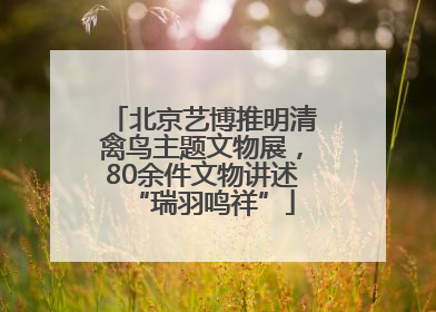 北京艺博推明清禽鸟主题文物展，80余件文物讲述“瑞羽鸣祥”