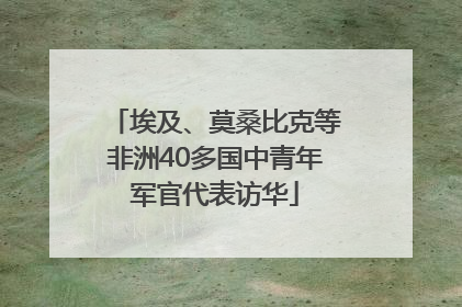 埃及、莫桑比克等非洲40多国中青年军官代表访华