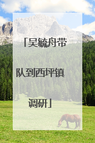 吴毓舟带队到西坪镇调研
