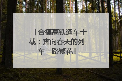 合福高铁通车十载：奔向春天的列车一路繁花