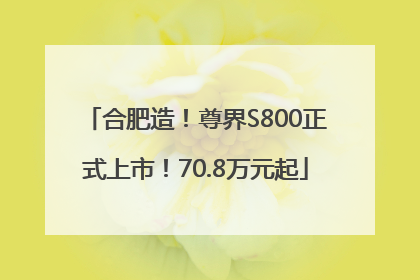 合肥造！尊界S800正式上市！70.8万元起