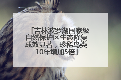 吉林波罗湖国家级自然保护区生态修复成效显著，珍稀鸟类10年增加5倍