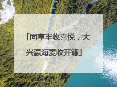 同享丰收喜悦，大兴瀛海麦收开镰