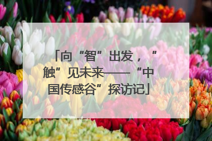 向“智”出发，“触”见未来——“中国传感谷”探访记