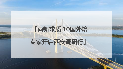 向新求质 10国外籍专家开启西安调研行