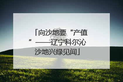 向沙地要“产值”——辽宁科尔沁沙地兴绿见闻